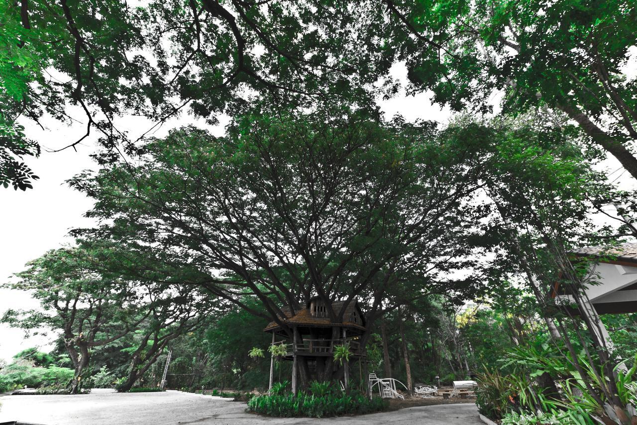 Tree House Hotel Sisaket Ngoại thất bức ảnh